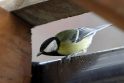 Rūpestis: žiemojančioms zylėms paukščių mylėtojai palieka maisto netoli namų įrengtose lesyklėlėse.