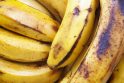 Pagydoma: bananafobija – bananų baimė. Turintieji šią fobiją patiria panikos priepuolius ir pykinimą, o norint pasveikti, rekomenduojama apsilankyti pas psichologą ar psichoterapeutą.