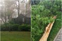 Lietuvoje – stiprus lietus, žaibuoja, virsta medžiai