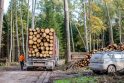 Situacija: mažiau pažeistų eglių mediena panaudojama, o iš kitų gaminamas biokuras.