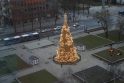 Konkursas: kalėdinę eglę ir šventines puošmenas nuomoti Atgimimo aikštėje šiais metais pasiryžusios net trys įmonės.