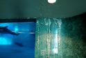 Pavojus: delfinariumo lankytojai sunerimo pamatę pro lubas besisunkiantį vandenį.