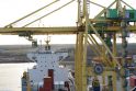 Vieta: už Klaipėdos konteinerių terminalo link Kairių prasideda III vandenvietė ir naujosios uosto rezervinės teritorijos.