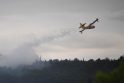 Prancūzijoje didžiulis gaisras nuniokojo 500 hektarų pušyno