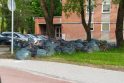 Savivalė: savivaldybės atstovų teigimu, Dubysos gatvėje keliasdešimt šiukšlių maišų su pernykščiais lapais kažkieno sukrauta buvo savavališkai.