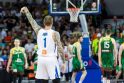 Pasaulio krepšinio čempionato atranka: Lietuva – Čekija 72:83