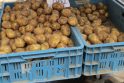 Pirkėjams – smagios naujienos: turguje atpigo bulvės, agurkai, trešnės
