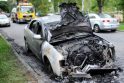 Berlyne vandalai padegė 11 automobilių