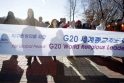 Prie G-20 viršūnių susitikimo vietos mėgino susideginti moteris