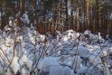 Nedidelius kritulius Lietuvoje keis smarkus snygis
