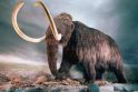 Rusijos ir Pietų Korėjos mokslininkai klonuos mamutą