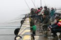 Siūloma uždrausti žvejybą Nemuno deltos regioniniame parke per nerštą