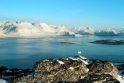 Grenlandijos gyventojai pasisakė už autonomiją