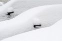 Vokietijoje iškrito 15 cm sniego