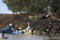 Jaroslavlyje atsisveikinama su lėktuvo katastrofos aukomis