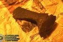 Bronzos amžiaus Lietuvoje tyrimų rezultatai – netikėti
