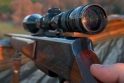Dėl trichineliozės uždrausta medžioklė Alūkėnų miške Anykščių rajone