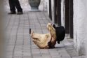 Po išpuolio su kiaulės galva Kaune prie sinagogos įrengtos kameros