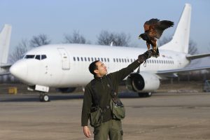 Pavojus dėl Serbijos prezidento lėktuvo kilo pilotui išliejus kavą