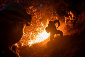 Zelenskis siūlo į pagalbą Lons Andželui 150 ukrainiečių ugniagesių