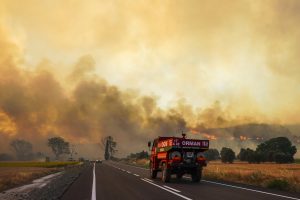 Per miškų gaisrus pietryčių Turkijoje žuvo penki žmonės