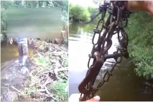 Aplinkosaugininkai: Vilkaviškio rajone pažeidėjas bandė medžioti žiauriausiu draudžiamu įrankiu