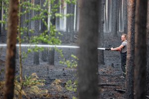 Ugniagesiai: Lietuvos miškai dažniausiai pleška ne dėl gamtos sąlygų