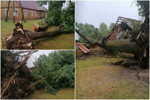 Siaubinga nelaimė Panevėžio rajone: per audrą lūžę medžiai sugriovė namus