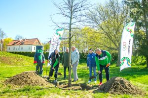 Čempionai ragina pakilti nuo sofutės: Santakos parke pasodintas medžių karalius