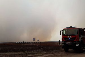 Kupiškio rajone liepsnojo durpynas: įtariamas padegimas