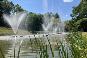 Jau šį trečiadienį Kaune prasideda festivalis „Botaninės naktys“ (programa)