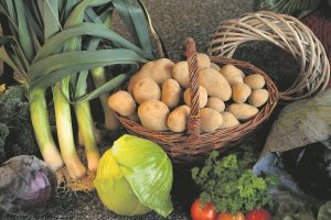 Ankstyvųjų bulvių sėklos – jau vagose, pernykštis derlius – dar aruoduose