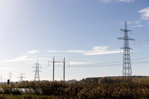 Seimas priėmė svartyti atnaujintą energetinės nepriklausomybės strategiją