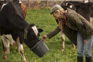 Lietuviško pieno supirkimo kaina viršija europinį vidurkį
