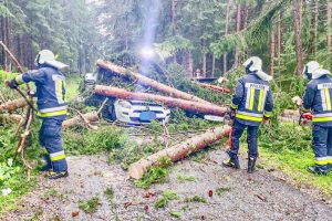 Europą ir toliau alina įsisiautėjusios gamtos stichijos: audros nulaužtas medis pražudė 16-metę