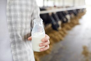 Komitetas: pieno įstatymas artimiausiu metu grįš į Seimo darbotvarkę
