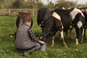 Pieno gamintojų atstovas neatmeta naujo protesto galimybės