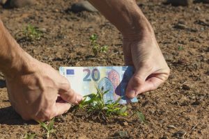 Nacionalinė mokėjimo agentūra: ūkininkams išmokėta 309 mln. eurų avansinių išmokų
