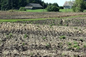 Ūkininkai ir ministerijos sutarė, kad žemės įsigijimas turi būti griežtinamas