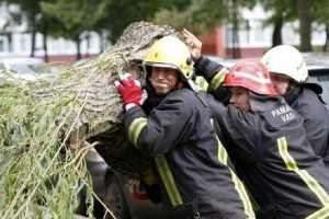 Savaitgalį ugniagesiai 121 kartą vyko šalinti nuvirtusių medžių