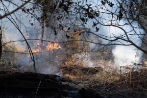 Prancūzijos Atlanto vandenyno pakrantėje tęsiasi miškų gaisrai