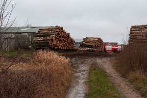 Priekulėje paryčiais kilo didelis gaisras: liepsnojo lentpjūvė