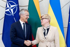 I. Šimonytė: Vilniuje reikia priartinti Ukrainą prie NATO, ir čia yra taškas