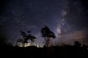 Astronomai išsiaiškino, kas suformavo Paukščių Taką