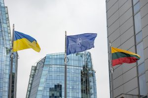 Kariuomenės analitikų radare – dezinformacija apie NATO susitikimą Vilniuje