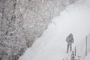 Įspėja apie sudėtingas oro sąlygas: snigs gausiai, sniego gali neatlaikyti medžiai