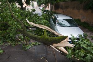 Liūtys, kruša, škvalas. Kaip apsisaugoti?