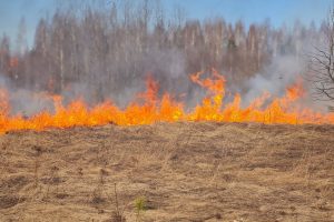 Šventinį savaitgalį Lietuvoje – 174 gaisrai, keturi žmonės apdegė