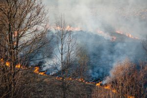Sausrai besitęsiant: savaitgalį fiksuoti 168 gaisrai gamtoje