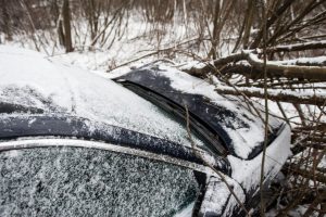 Nelaimė Kazlų Rūdoje: ant važiuojančio automobilio užvirto medis